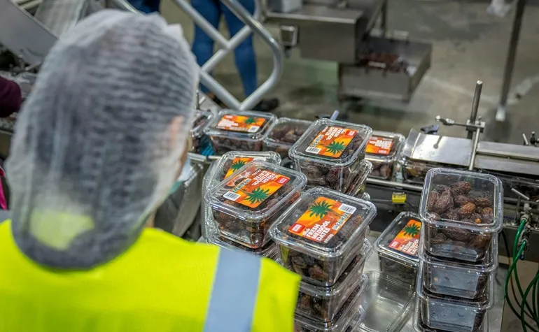 Maszyny do pakowania – jak wybrać odpowiednie urządzenie dla swojego zakładu produkcyjnego?