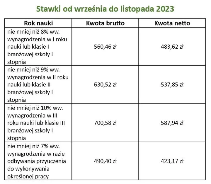 Jak wygląda wynagrodzenie młodocianych pracowników w 2026 roku?