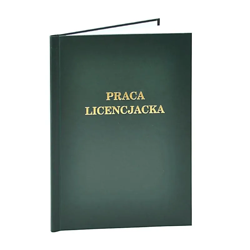 Jak zorganizować pracę licencjacką: co zawrzeć w rozdziałach?
