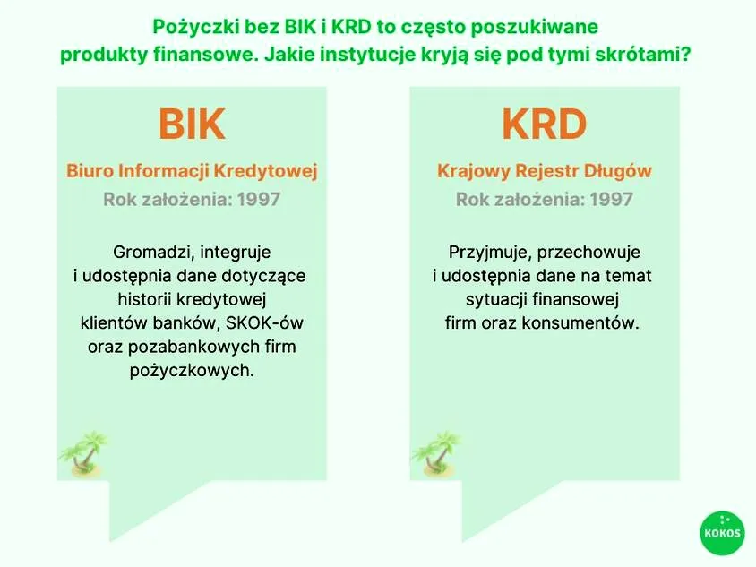 Które instytucje finansowe oferują pożyczki bez BIK?