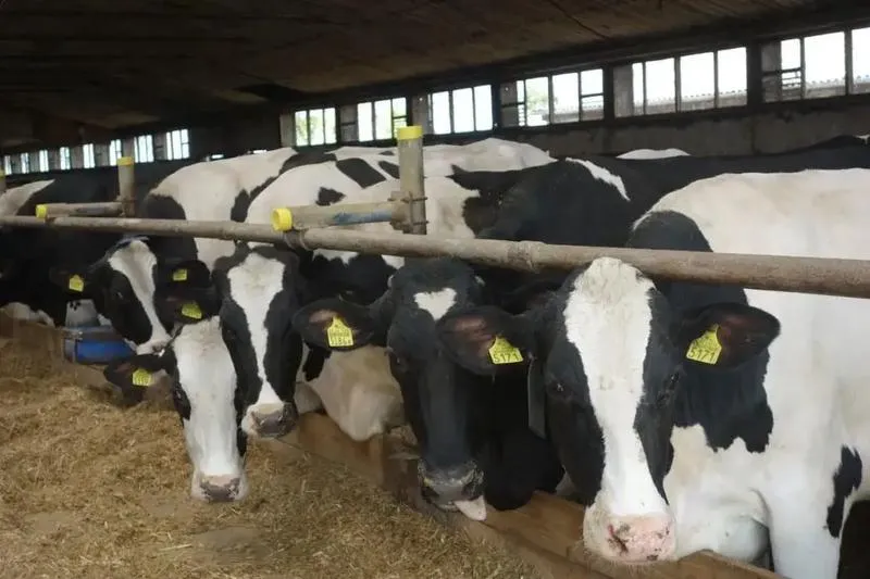 Hodowla roślin i zwierząt