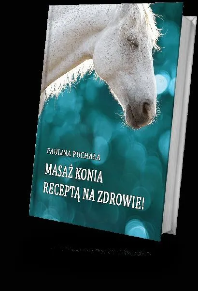Kariera masażysty koni