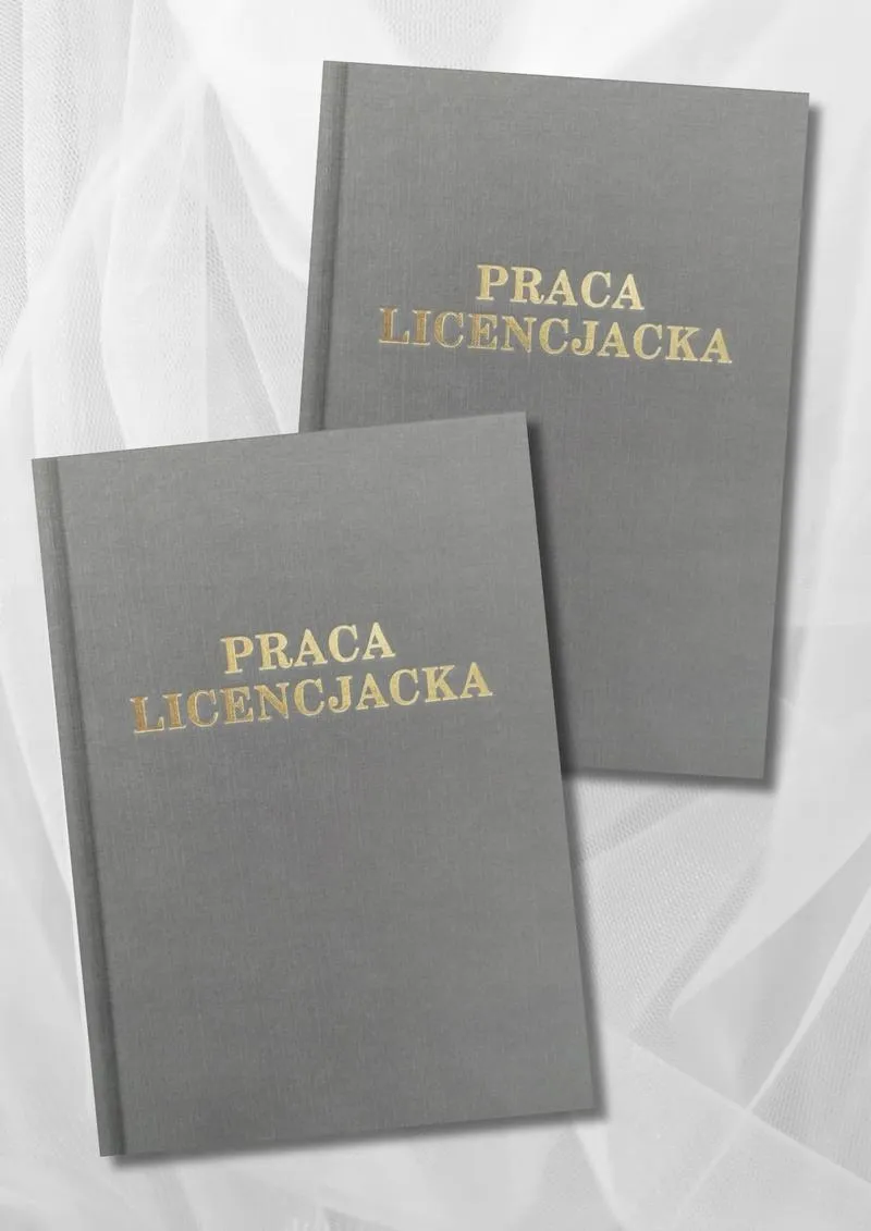 Konsultacje z promotorem