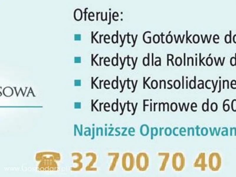 Kredyt bez BIK