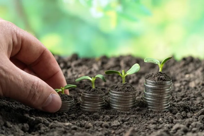 Lokalizacja a stawka podatku rolnego