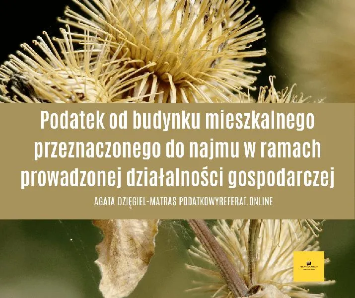 Podatek z najmu mieszkania