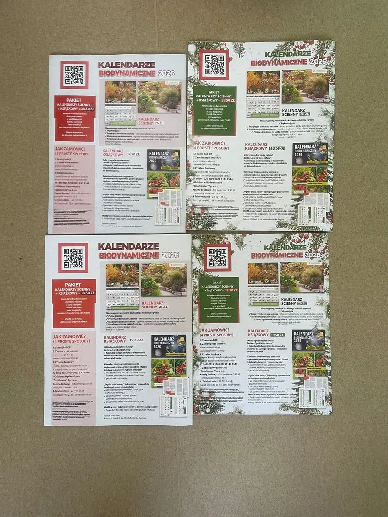 Porównanie banków konto 77