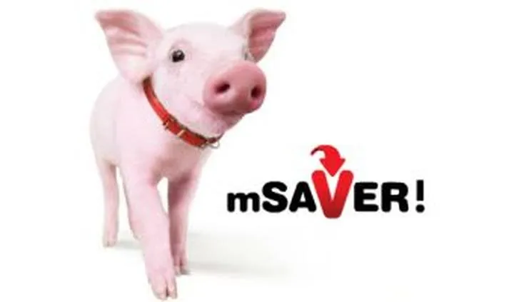 Problemy i rozwiązania przy wypłacie msaver