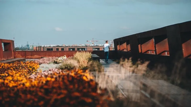 Strategie inwestycyjne ECS