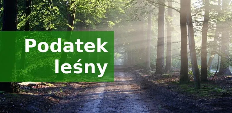Zaokrąglanie podatku